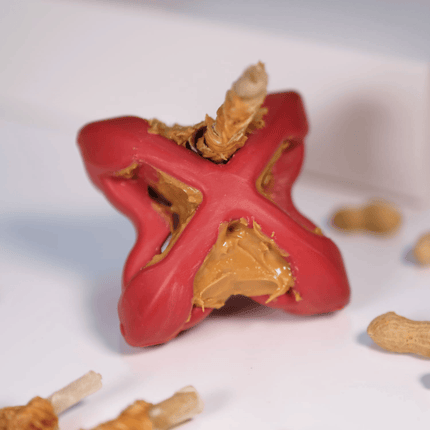 Geo-AstroRolly Red - Sensory Enrichment Toy