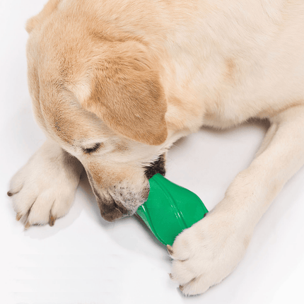 Geo‑Pentra Tube - Fillable Geometric Toys