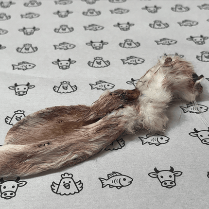 Natural Picks Rabbits Ears with Fur