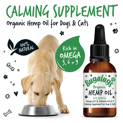 Bugalugs™ Hemp Oil for dogs and cats - 50ml