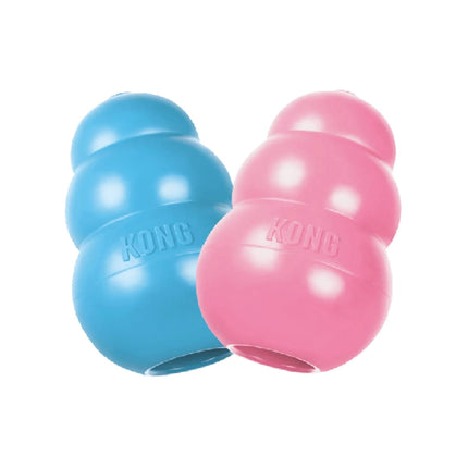 pink kong puppy and blue kong puppy