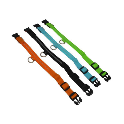 light'em light up collar group