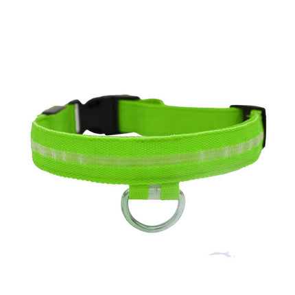 light'em light up collar green