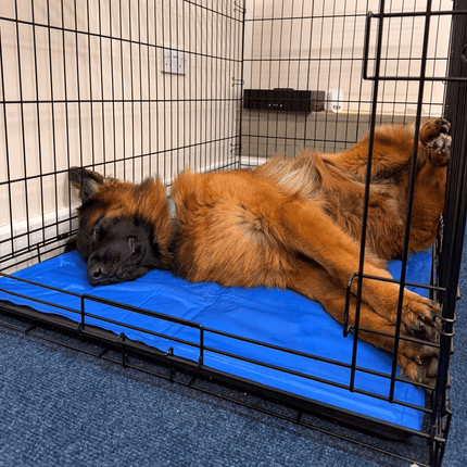 Cool'Em Cooling Mat – Keep Your Pet Comfortable on Hot Days