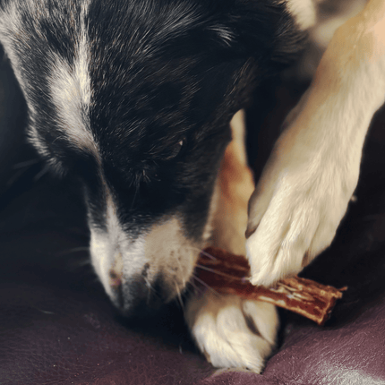 Natural Picks Thin Bulls Pizzles