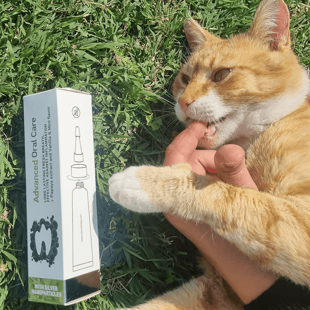 <h2>No-Brush Dog & Cat Dental Gel</h2>