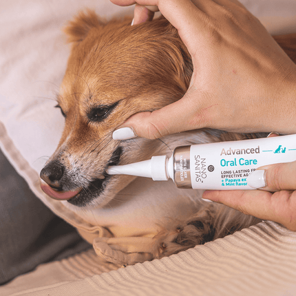 Dog & Cat Dental Gel 35ml | No-Brush Oral Care for Fresh Breath & Healthy Teeth