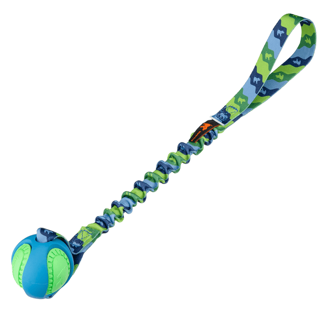 Green and blue dog toy with a ball and bungee handle on a white background
