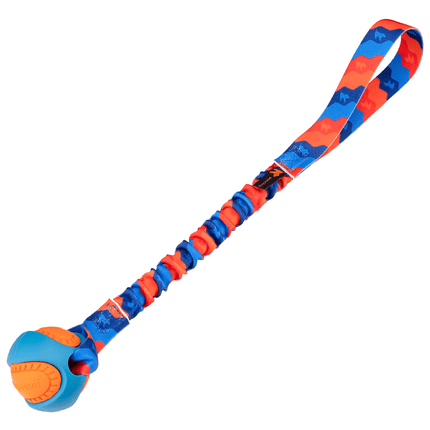 Orange and blue dog toy with a ball and bungee handle on a white background