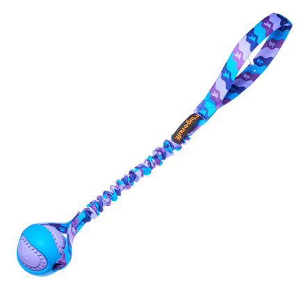 Blue and purple dog toy with a ball and bungee handle on a white background