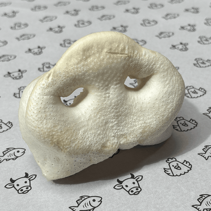 Natural Picks Puffed Pig Snout