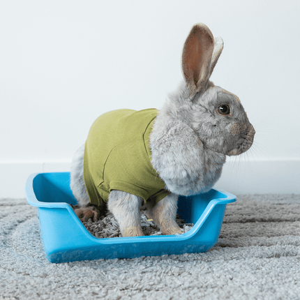 Suitical Recovery Suit for Rabbits - Green