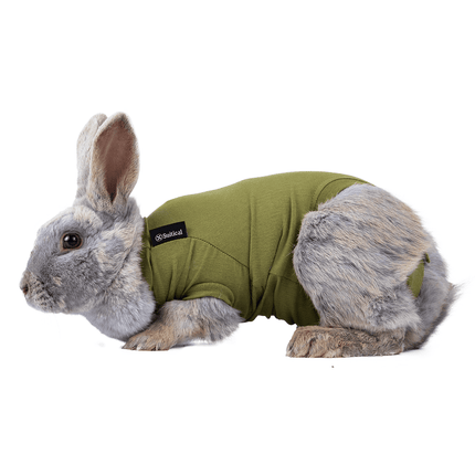 Suitical Recovery Suit for Rabbits - Green