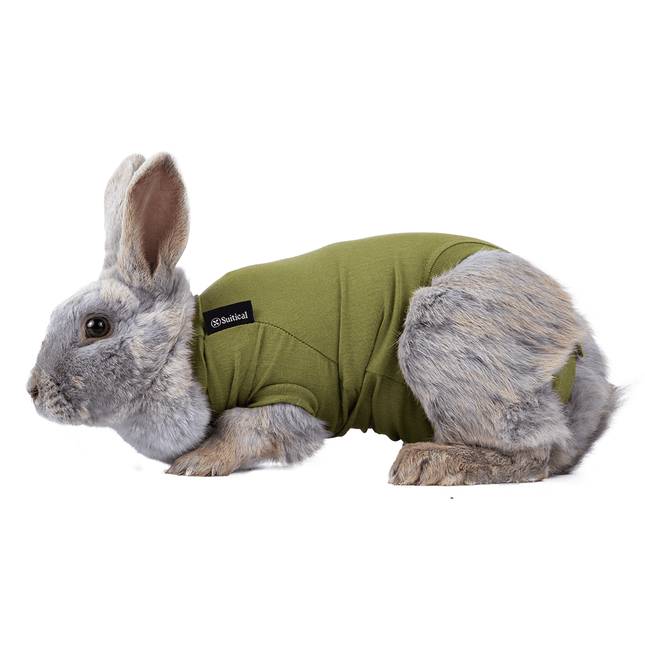 Suitical Recovery Suit for Rabbits - Green