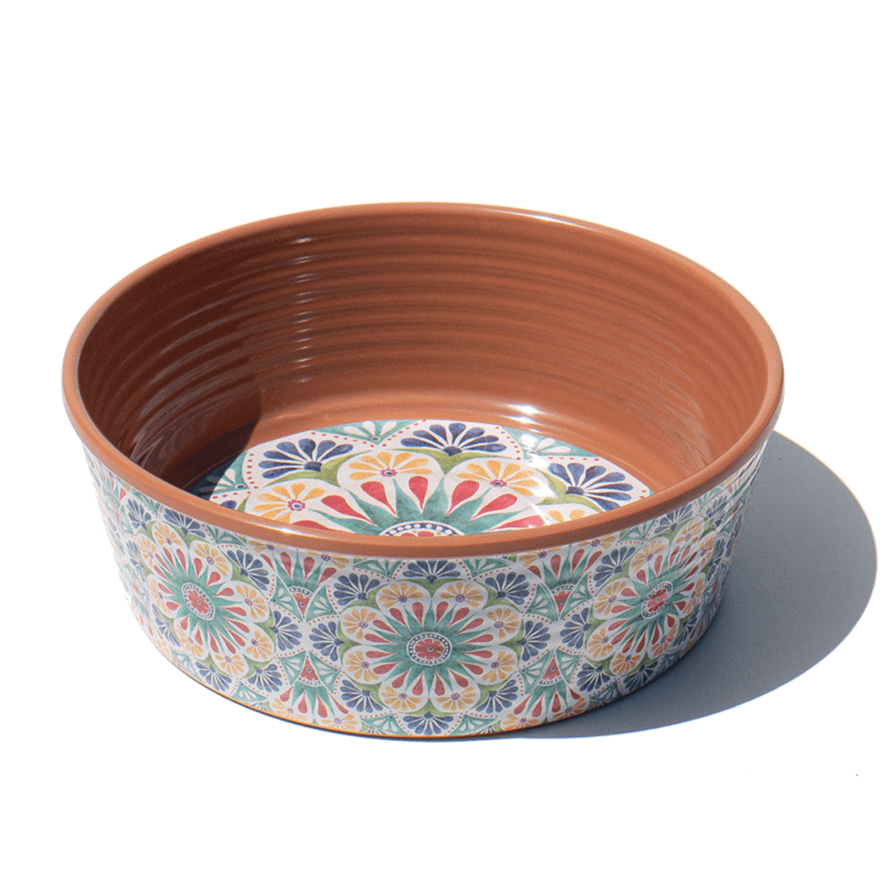 rio medallion pet bowl
