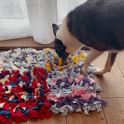 collie sniffing in a noseypaws snuffle mat