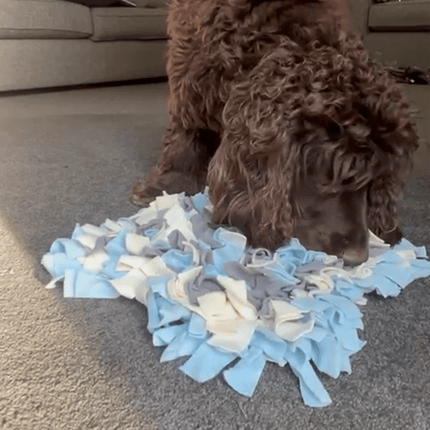 spaniel sniffing in noseypaws snuffle mat