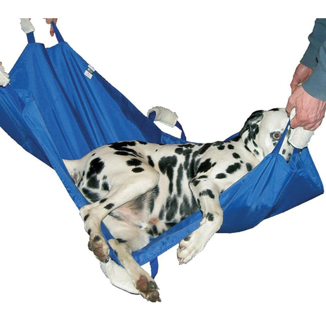 Dalmatian laying in a soft quick carry stretcher