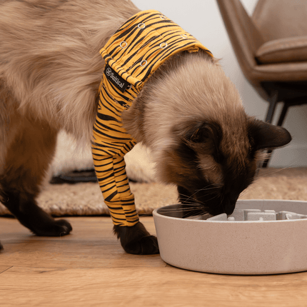 Suitical Recovery Sleeve for Cats – Black and Tiger Print
