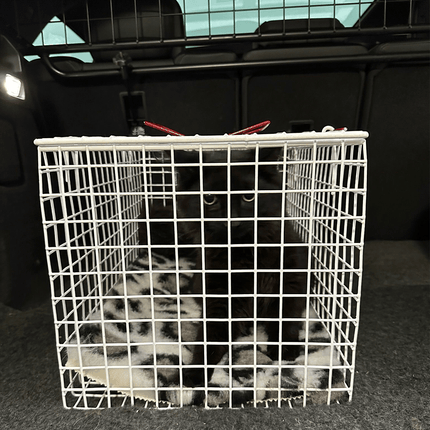 Wire Cat Cage – Secure & Comfortable Carrier for Cats and Kittens
