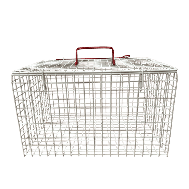 Wire Cat Cage – Secure & Comfortable Carrier for Cats and Kittens