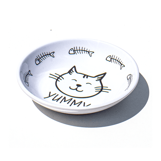 fun white cat saucer with a cat face and fish bones with the word yummy